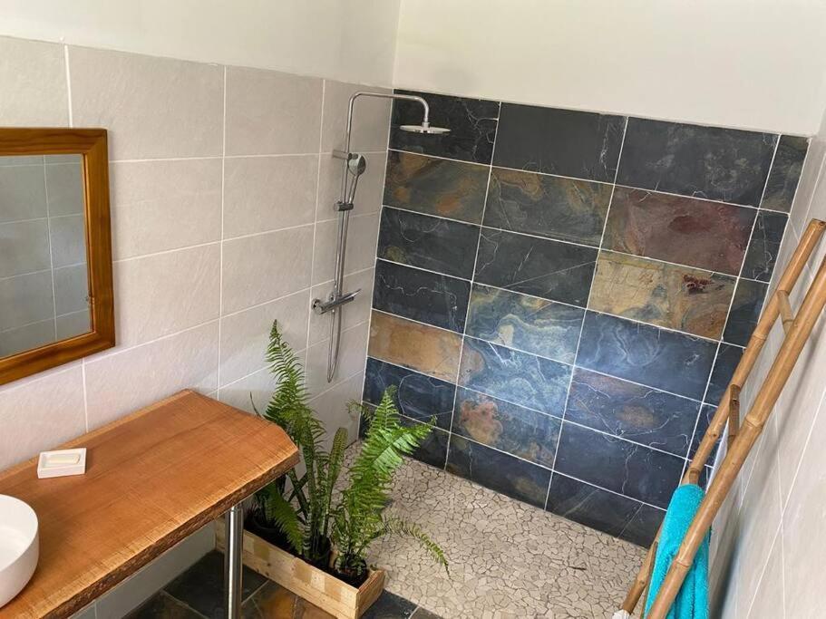 Zayann Zen Daire Gourbeyre Dış mekan fotoğraf